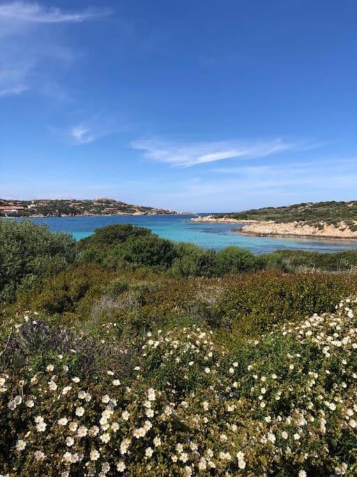 Casa Indipendente Zona Centrale La Maddalena  Esterno foto